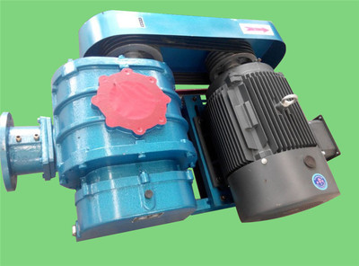 江蘇羅茨風(fēng)機(jī)廠家 羅茨風(fēng)機(jī)安裝 羅茨風(fēng)機(jī)維護(hù)常識(shí)介紹_過(guò)濾/風(fēng)機(jī)/離心機(jī)/鍋爐/換熱_風(fēng)機(jī)_羅茨風(fēng)機(jī)_產(chǎn)品庫(kù)_中國(guó)環(huán)保在線